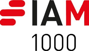 IAM Patent 1000 